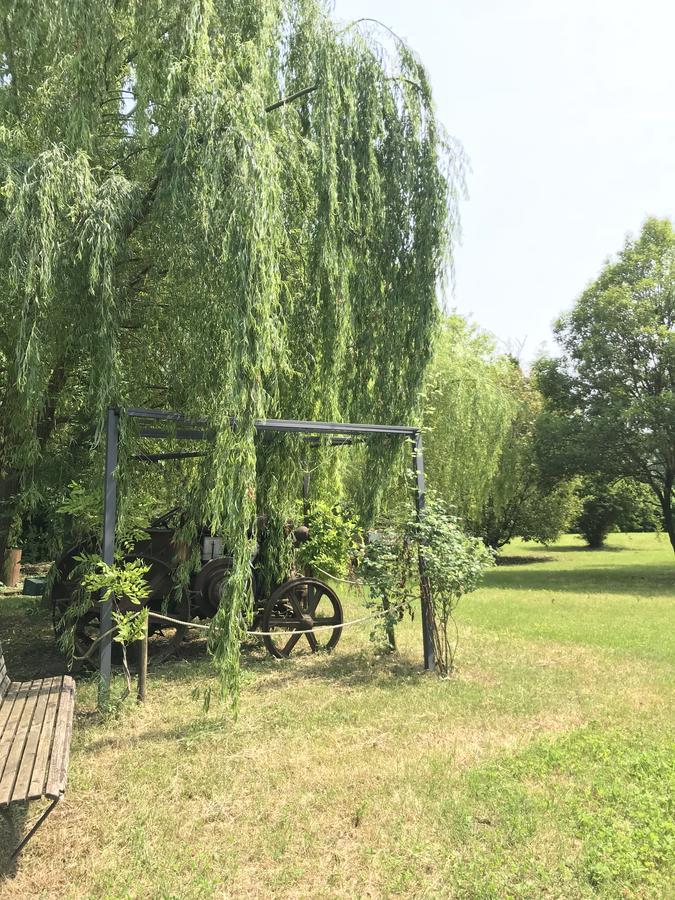 Agriturismo Corte Salandini Ponti sul Mincio Ngoại thất bức ảnh
